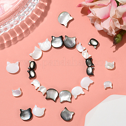 16 шт. 4 вида бусин из натуральных белых ракушек и черных ракушек-губ SSHEL-SC0001-35