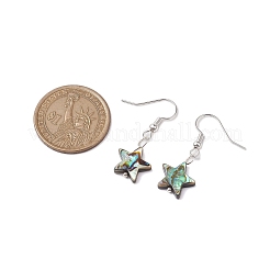 Серьги с подвесками из натуральной раковины морского ушка/ракушки пауа EJEW-JE05915