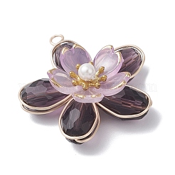 4шт 4 цвета стеклянные подвески&nbsp;PALLOY-TA00319