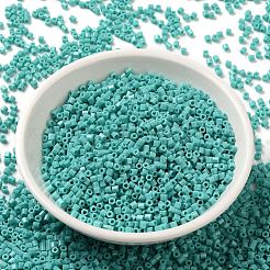 Непрозрачные стекла бисер SEED-S042-22B-04