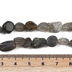 Природные лабрадорита бисер нитей G-Q060-E20-02