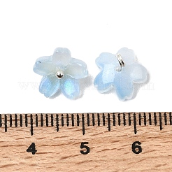 Стеклянные подвески&nbsp;GLAA-G127-05E