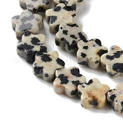 Природные яшмы далматин бисер нитей G-B138-C08-01