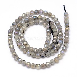 Естественно гальванических лабрадорита круглый шарик нити G-O094-04-4mm