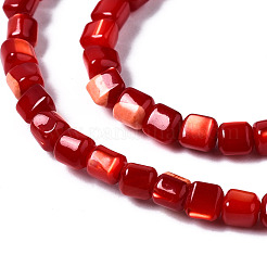 Натуральная оболочка трохида SSHEL-N034-77-C02