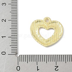 Эмалевые подвески из сплава в честь Дня независимости&nbsp;FIND-M083-05E-G