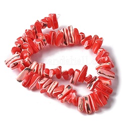 Окрашенные нити натуральных бусин-ракушек трохуса SSHEL-C013-09D