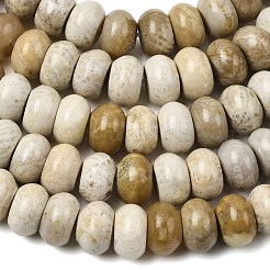 Природные окаменелые коралловые бусы пряди&nbsp;G-A280-A08-02