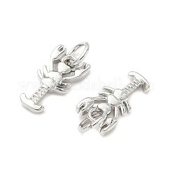 Латунные подвески&nbsp;KK-I355-10P