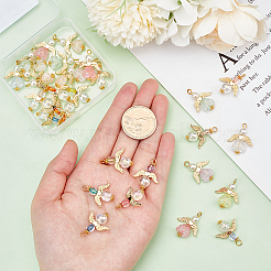 30 шт. 2-х стилевые прозрачные акриловые и литые бусины-подвески OACR-PH0001-97