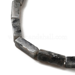 Натуральные нити бус из ларвикита G-G873-A04-01