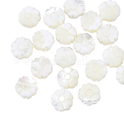 Нити бусин из натуральных ракушек SSHEL-CJ0001-09