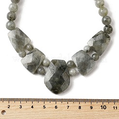 Натуральный лабрадорит ограненный нагрудник градуированные бусины ожерелья для женщин NJEW-B128-01P