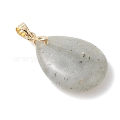 Природные подвески лабрадорита&nbsp;PALLOY-JF04953