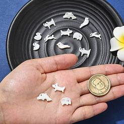 14 шт. 7 набора бусин из натуральных белых ракушек с изображением животных FIND-CJ0004-74