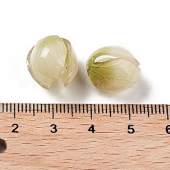 Непрозрачная акриловая шапочка для бусин SACR-C006-02A