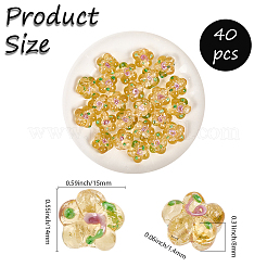 40шт ручной работы бусины лэмпворк LAMP-PA0001-11B