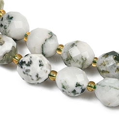 Натурального дерева агат бисер нитей G-N342-149I-09