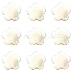 30шт гальванические бусины из натуральных пресноводных ракушек SHEL-CJ0001-26