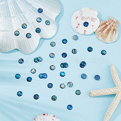 40 шт. кабошоны из ракушек абалона/пауа SSHEL-FI0001-02