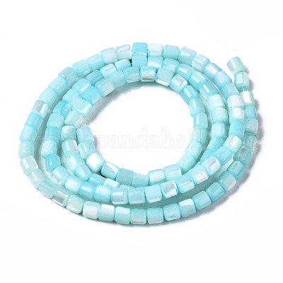 Натуральная оболочка трохида SSHEL-N034-77-C04-1