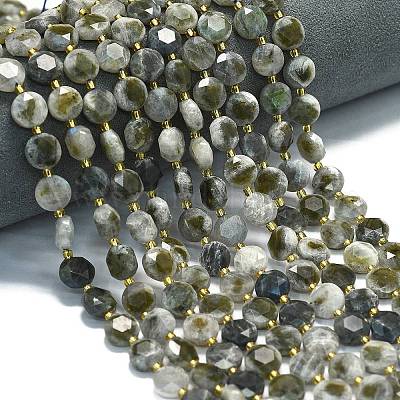 Природные лабрадорита бисер нитей G-C116-A94-01-1