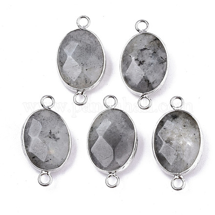 Натуральные лабрадоритовые звенья / соединители G-T131-102-14-1