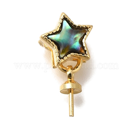 Звезда латунь пауа раковина чашка жемчуг штифт скобы булавки подвески KK-K389-144G-1