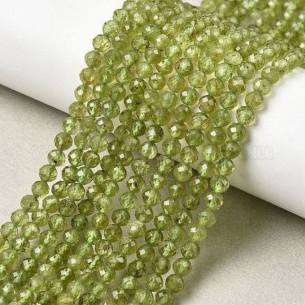 Природный перидот бисер нитей&nbsp;G-P603-C-4mm-01-1