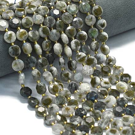 Природные лабрадорита бисер нитей G-C116-A94-01-1