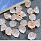 Transparent Glass Beads, Lotus, PeachPuff, 6.5x10.5x10mm, Hole: 1.2mm
