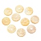 Natural Yellow Shell Carved Cabochons, Flat Round, Flower, 15x2mm