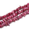 Freshwater Shell Beads Strands, Dyed, Chip, Hot Pink, 8~28x6~8x1~4.5mm, Hole: 1mm, about 340~380pcs/strand, 29.9 inch