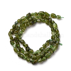 Природный перидот бисер нитей G-I389-A27