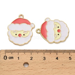 Подвески из эмали и сплава&nbsp;LS-FIND-Z096-01G-02