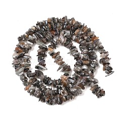 Натуральный лунный камень бисер нитей G-A284-B01-01