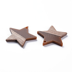 Подвески из непрозрачной смолы и ореха&nbsp;RESI-T035-39B