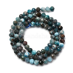 Природного апатита нитей бисера G-A276-C08-4mm-01