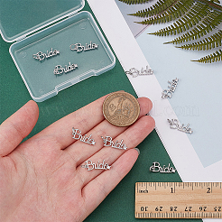 10шт латунные подвески с микропаве и кубическим цирконием&nbsp;KK-PH0014-23P