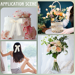 Полиэфирная лента&nbsp;OCOR-WH20013-005E