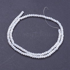 Стеклянные бусины с гальваническим покрытием  GLAA-F076-FR03