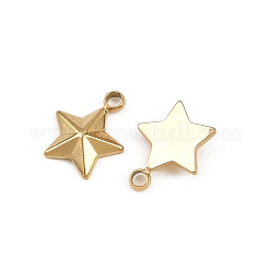 Подвески из нержавеющей стали 304&nbsp;STAS-K295-13G