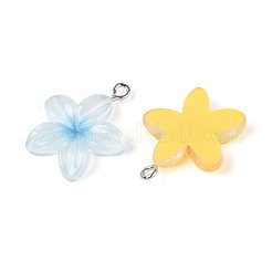 Прозрачные смоляные подвески&nbsp;RESI-N050-02P