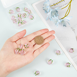 30шт ручной работы бусины лэмпворк LAMP-PH0002-21