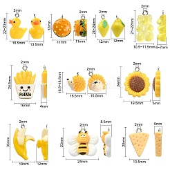 30шт 10 стиля подвески из смолы RESI-CJ0002-73