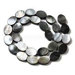 Нити бусин из натуральной черной ракушки для губ BSHE-D300-02-10x14mm