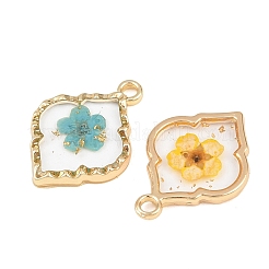 Подвески из эпоксидной смолы&nbsp;FIND-Z114-01G-01