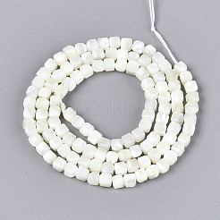Нити бусин из натуральных трохоидных/трохус ракушек&nbsp;SSHEL-N041-04B-01