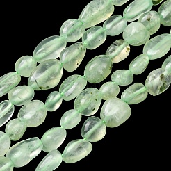 Природные пренит нитей бисера&nbsp;G-G018-64