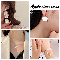 48шт 8 стиля подвески из натуральных пресноводных ракушек SHEL-HY0001-09